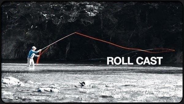 Roll Cast