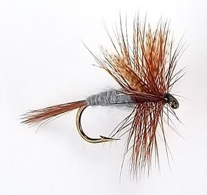 dry fly