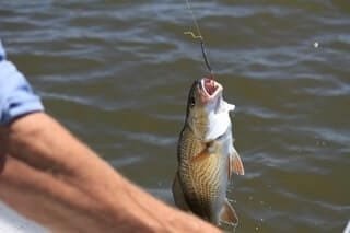 Bass Fishing