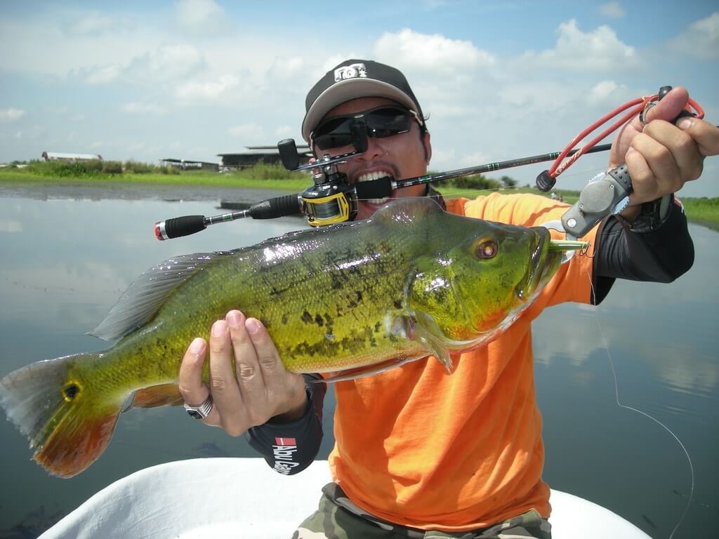 Fly Fishing For Bass Line Weight featured