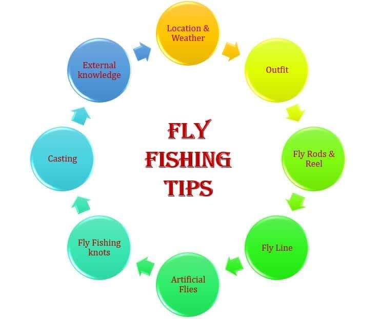 Fly Fishing Tips