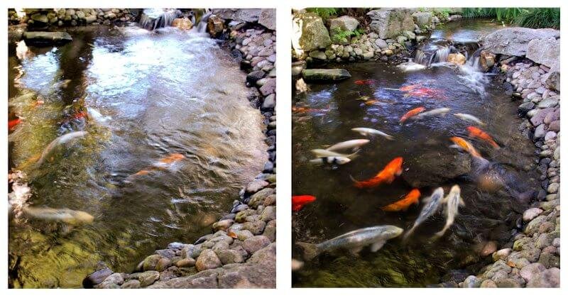 Polarized sunglasses