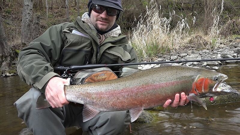 how to fly fish for steelhead featured