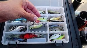 Fishing flies