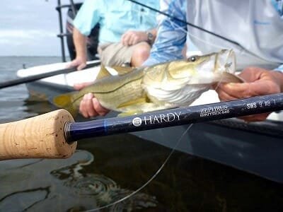 Fishing wirh Hardy Zephrus